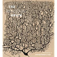 The Beautiful Brain: The Drawings of Santiago Ramon y Cajal